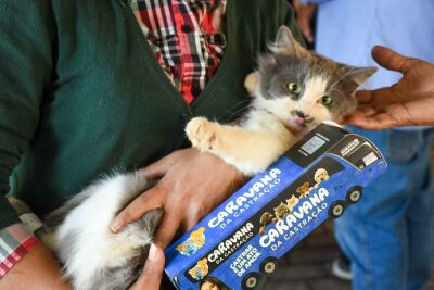 Imagem da notícia Caravana da Castração chega a Figueirão com atendimento gratuito para cães e gatos